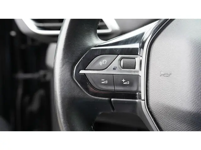 Peugeot 3008 1.2 PureTech Active 2019 Benzine 15