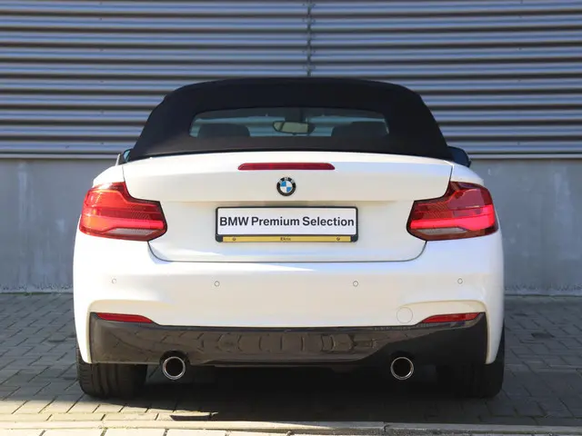 BMW 2 Serie Cabrio 220i 2019 Benzine 6