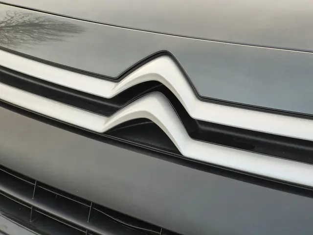Citroën Berlingo 1.6 BlueHDI 75 Comfort 2017 Diesel 20