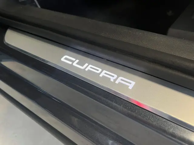 CUPRA Formentor 2.0 TSI 4DRIVE 2021 Benzine 26