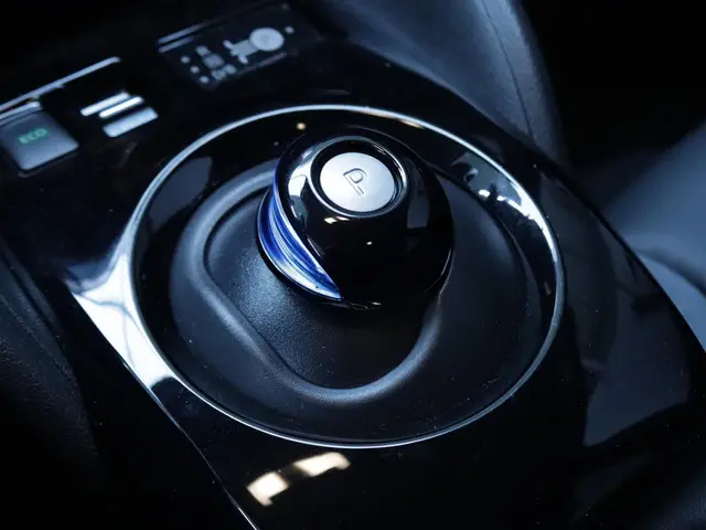 Nissan Leaf e+ Tekna 62 kWh 2022 Elektrisch 23