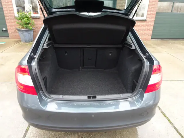 Škoda Rapid 1.2 TSI Greentech JOY 2016 Benzine 9