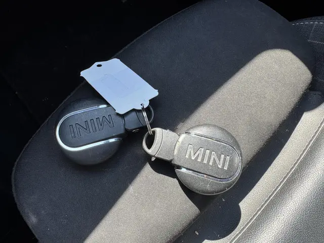MINI Cooper Mini 1.5 Chili 2019 Benzine 23