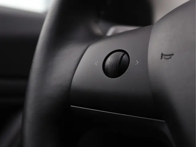 Tesla Model 3 Standard RWD Plus 60 kWh 2019 Elektrisch 32