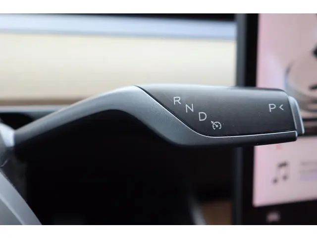 Tesla Model 3 Performance AWD 75 kWh 2019 Elektrisch 24