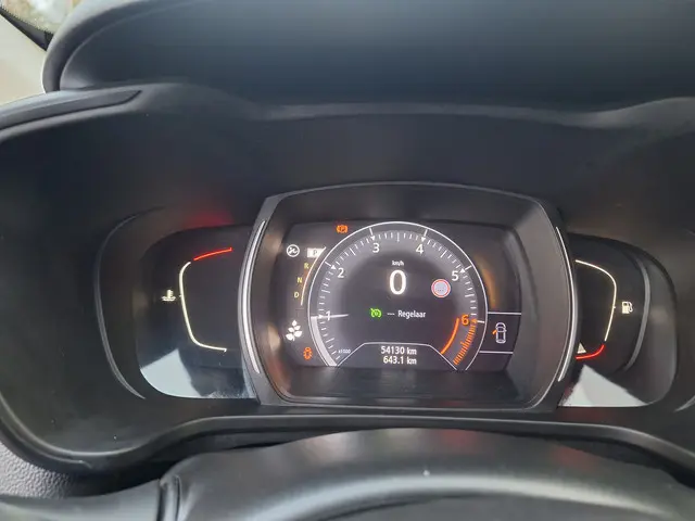 Renault Kadjar 1.2 TCe Intens 2018 Benzine 25