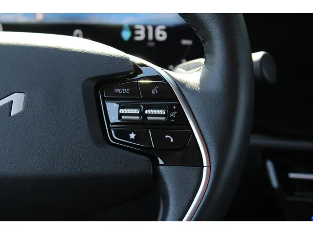 Kia Niro EV DynamicLine 64.8 kWh 2023 Elektrisch 12