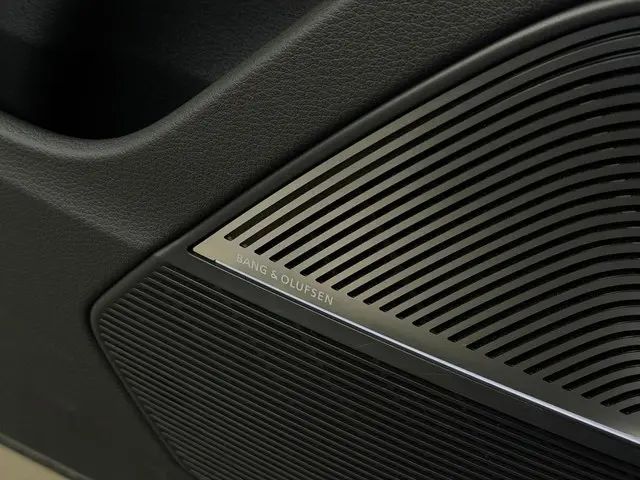 Audi RSQ8 4.0 TFSI Performance 2025 Benzine 33