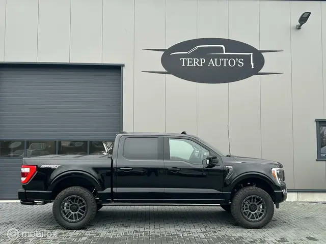 Ford F-150 3