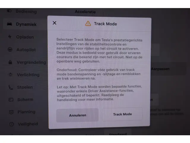 Tesla Model 3 Performance AWD 75 kWh 2019 Elektrisch 29