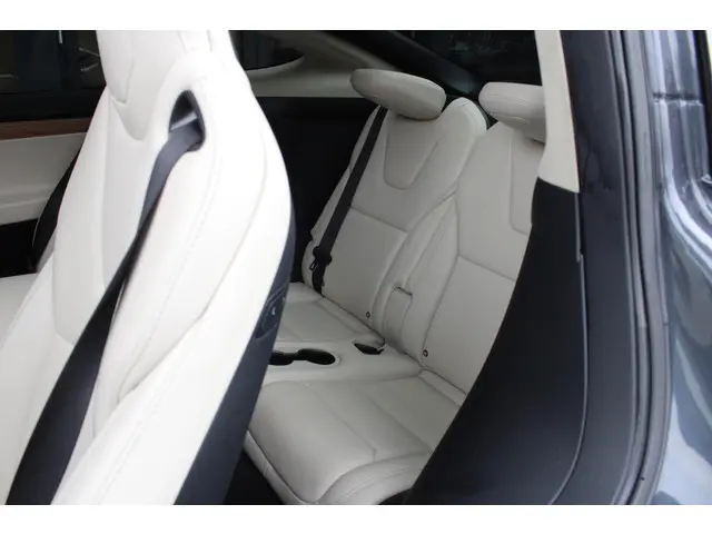 Tesla Model X 100D 6p. | CCS | Trekhaak 2018 Elektrisch 18