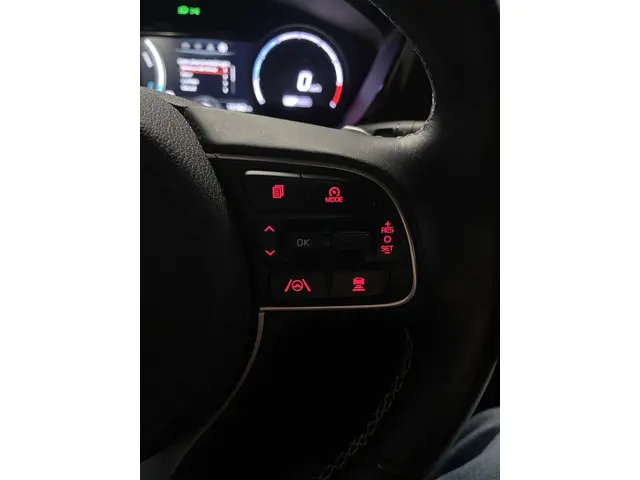 Kia e-Niro DynamicLine 64 kWh 2022 Elektrisch 27