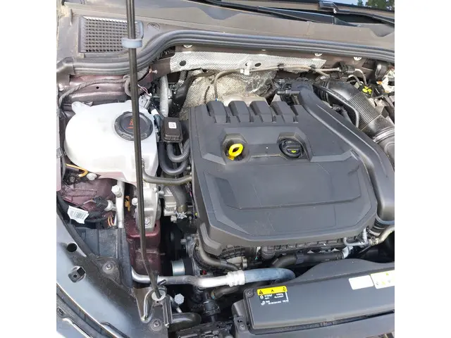 Volkswagen Golf 1.5 TSI Life Business 2022 Benzine 48