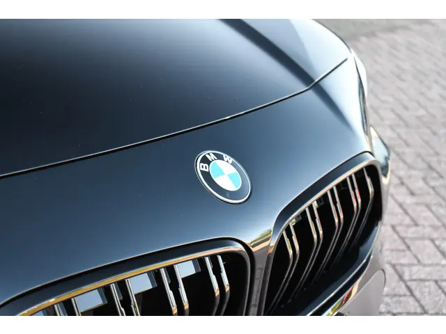 BMW X2 sDrive20i 192pk M-Sport X 2019 Benzine 30