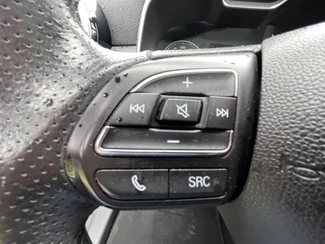 MG ZS EV Luxury 45 kWh |PANO | LEER | PDC | 2020 Elektrisch 20