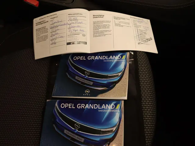 Opel Grandland 1.2 Turbo Business Edition 2022 Benzine 17