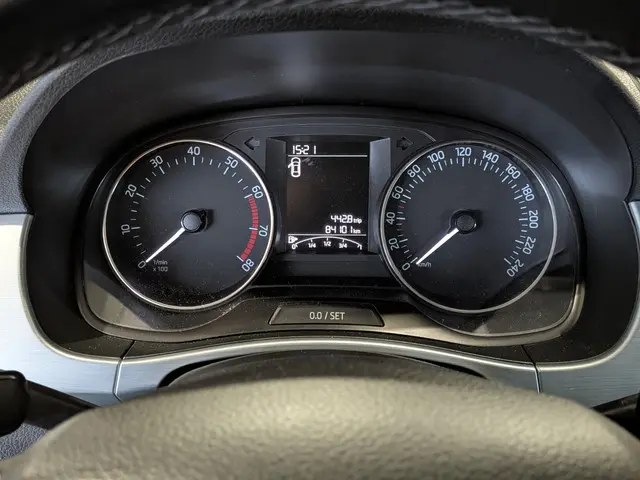 Škoda Fabia 1.0 Active 2017 Benzine 13