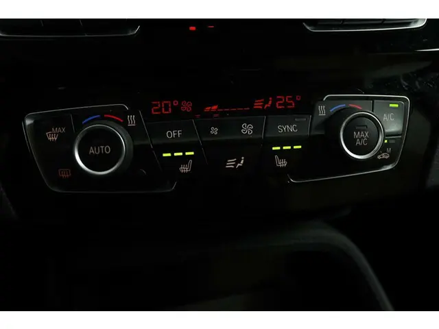 BMW X1 sDrive20i Centennial High Executive 2017 Benzine 9