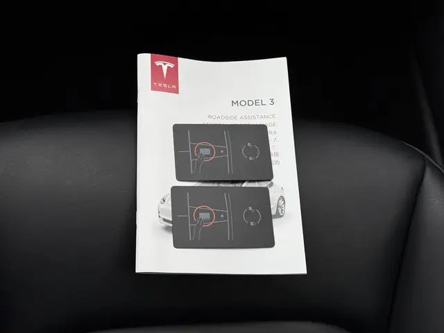 Tesla Model 3 Range Plus 2020 Elektrisch 24