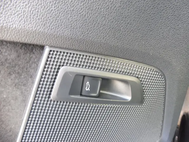 Škoda Kodiaq 1.5 TSI Business Edition 2020 Benzine 37