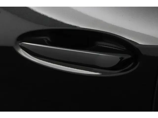 Lexus UX 300e Business 54 kWh 2020 Elektrisch 34