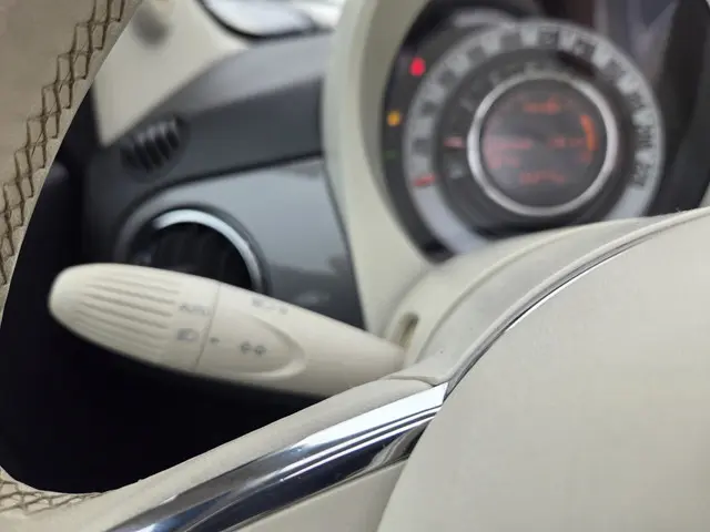 Fiat 500C 1.2 Lounge 2019 Benzine 14