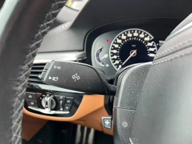 BMW 5 Serie Touring 520i High Executive 2018 Benzine 16