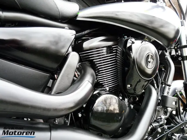 Kawasaki VN 900 Custom 2013 Benzine 27