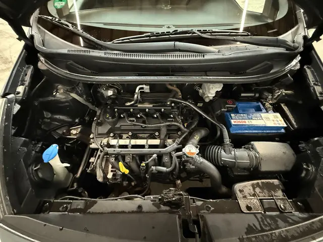 Kia Rio 1.2 CVVT |Plus Pack| |Airco| |Org.NL| 2014 Benzine 15