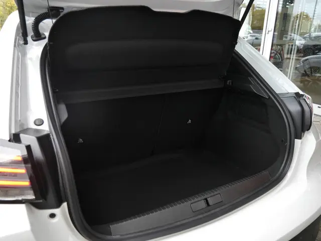 Peugeot 208 1.2 PureTech 100 Active 2024 Benzine 10