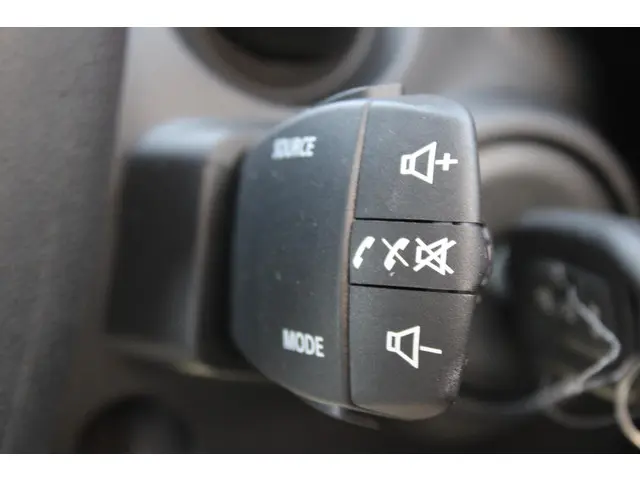 Dacia Spring Expression 65 2025 Elektrisch 21