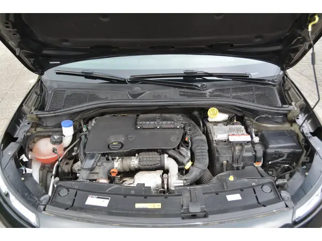Citroën C4 Cactus 1.6 BlueHDi Business Plus 2017 Diesel 18