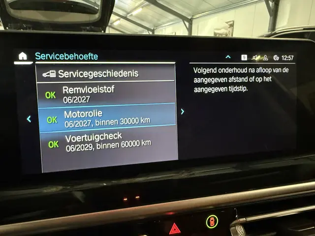 BMW X3 xDrive30e High Executive 2022 Hybride Benzine 15