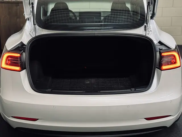 Tesla Model 3 Performance AWD 75 kWh 2019 Elektrisch 6