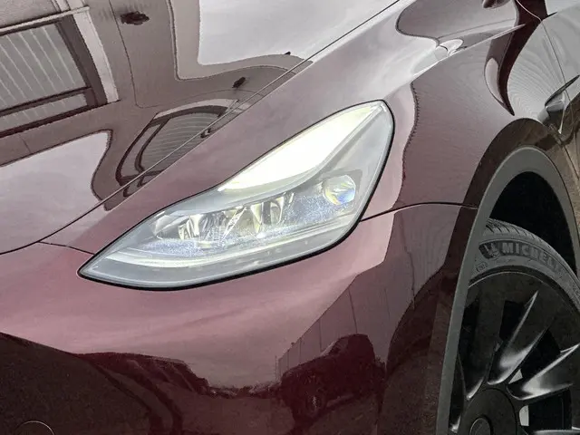 Tesla Model Y Long Range AWD 75 kWh 2023 Elektrisch 6