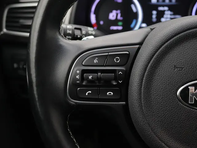 Kia e-Niro ExecutiveLine 64 kWh Leder 2019 Elektrisch 28