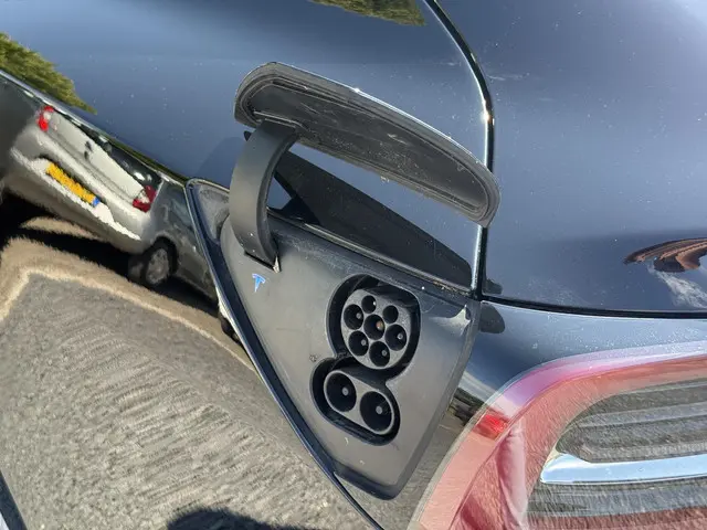 Tesla Model 3 Long Range AWD 75 kWh 2019 Elektrisch 26