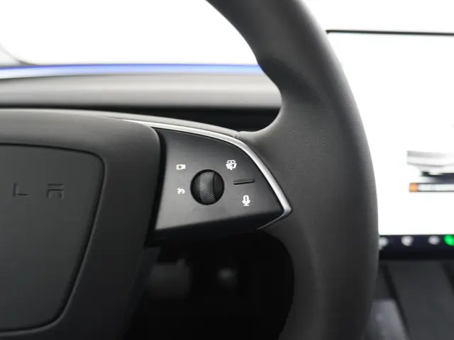 Tesla Model 3 RWD 60 kWh 2024 Elektrisch 30
