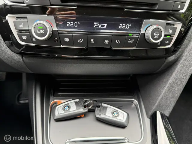 BMW 3 Serie 318i Luxury Edition 2019 2019 Benzine 13