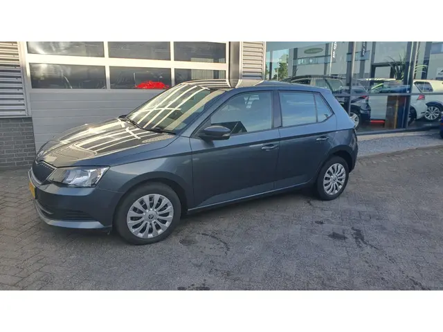 Škoda Fabia 1.2 TSI Monte Carlo 2017 Benzine 9