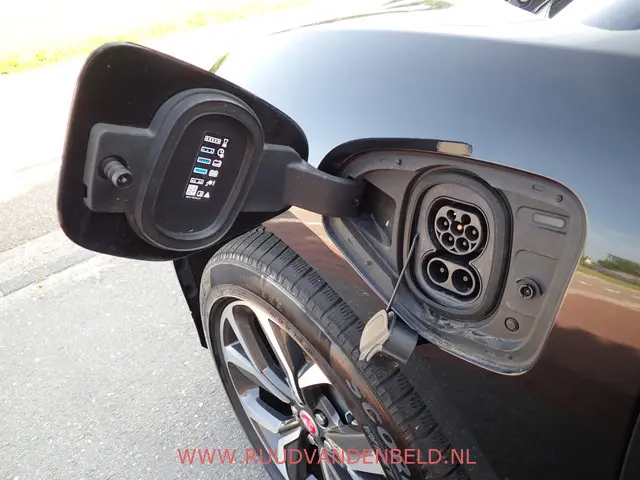 Jaguar I-PACE EV320 90KWH 3-FASE 2020 Elektrisch 31