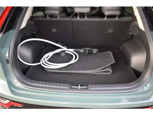 Kia Niro EV Edition Advanced 64.8 kWh 2024 Elektrisch 24