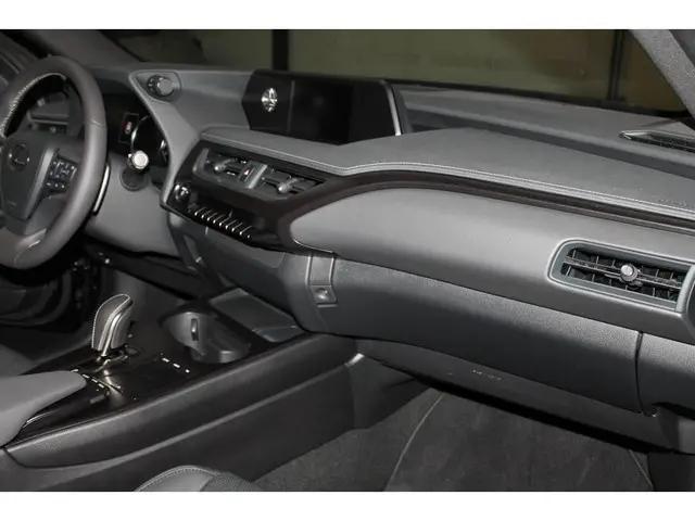 Lexus UX 300e Business Pro Pack Automaat 2020 Elektrisch 12
