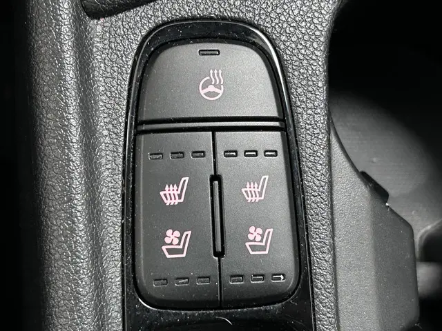 Kia Niro 1.6 GDi PHEV BusinessLine 2022 Hybride Benzine 28