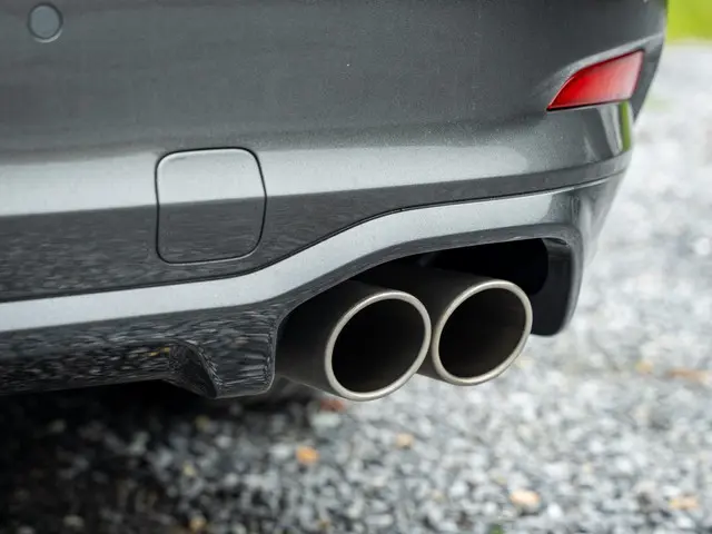 Ford Focus Wagon 1.0 EcoBoost ST Line 2019 Benzine 19