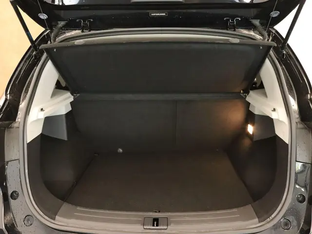 MG ZS EV Luxury 45 kWh 2020 Elektrisch 7