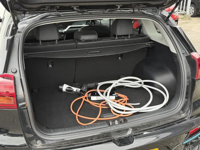 Kia e-Niro Edition 64 kWh 2021 Elektrisch 13