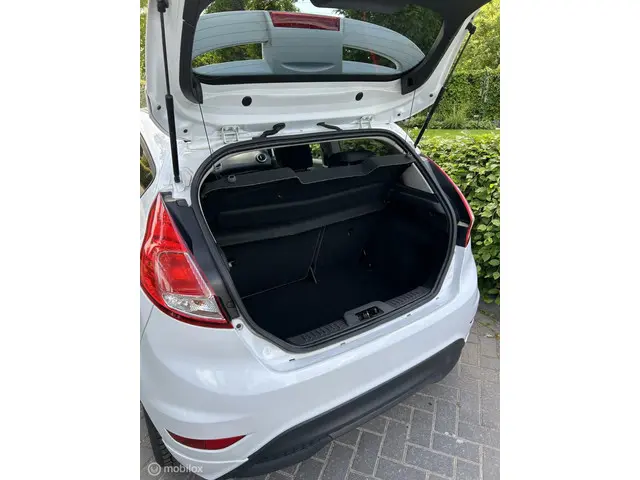 Ford Fiesta 1.0 EcoBoost Titanium 2013 Benzine 10