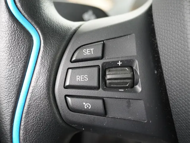 BMW i3 Basis iPerformance 94Ah 33 kWh 2018 Elektrisch 28