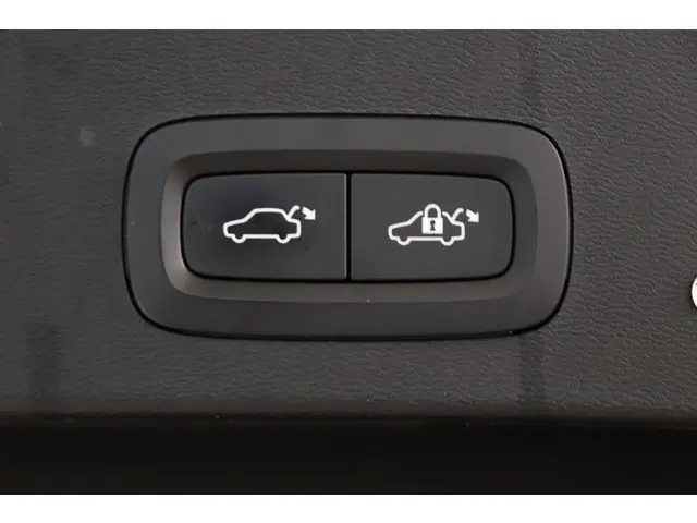 Volvo XC40 Recharge Plus 2021 Elektrisch 31